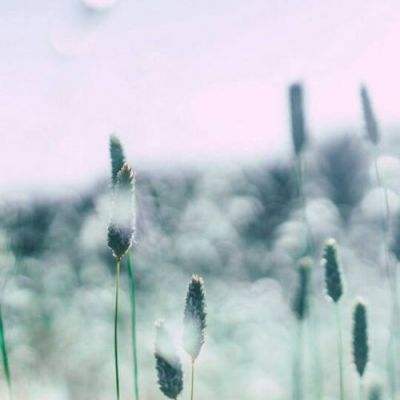 新笑傲江湖手游qq版下载